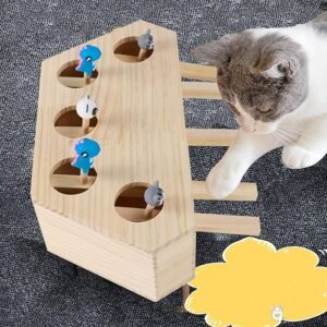Read more about the article Top 5 Reasons Why Your Cat Will Love the Whack-a-Mole Cat Punch Box!